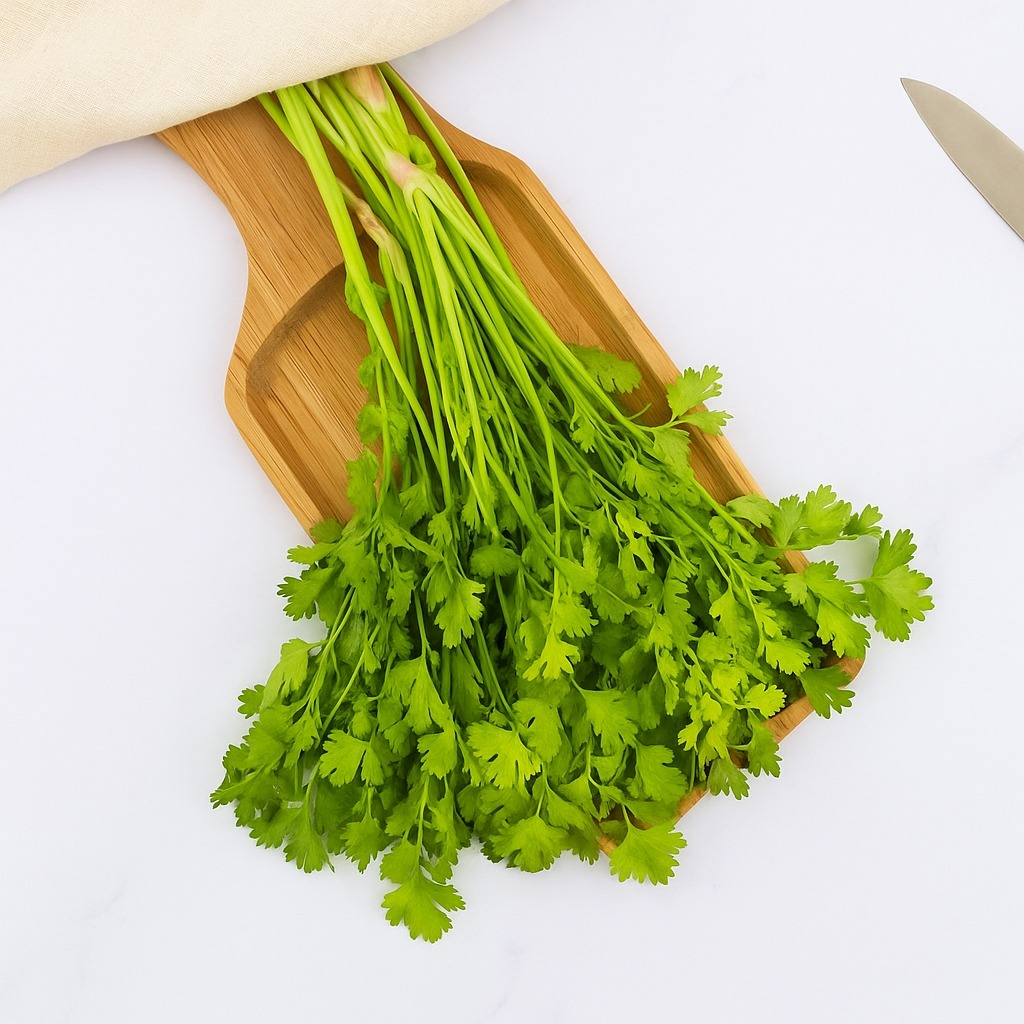 Fresh Dhaniya (Coriander)